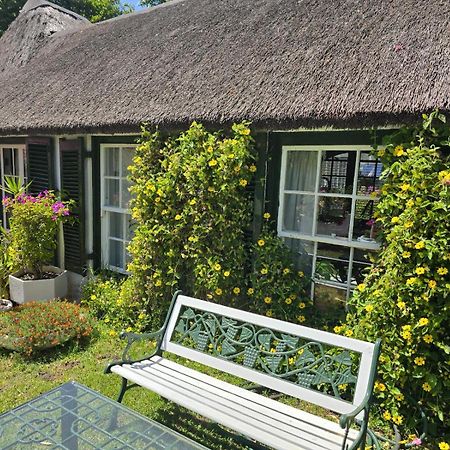 Apartament Meyerhof Kapsztad Zewnętrze zdjęcie