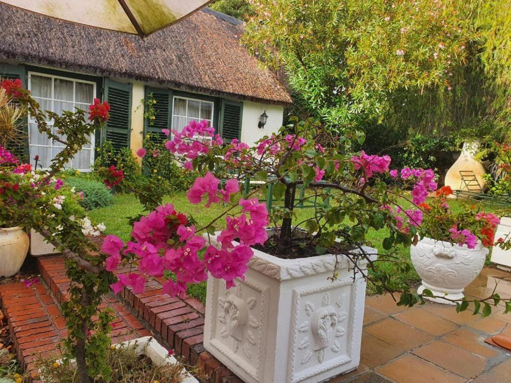 Apartament Meyerhof Kapsztad Zewnętrze zdjęcie
